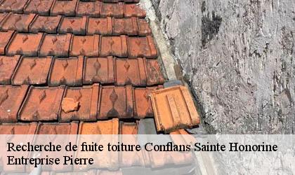 Recherche de fuite toiture 78700
