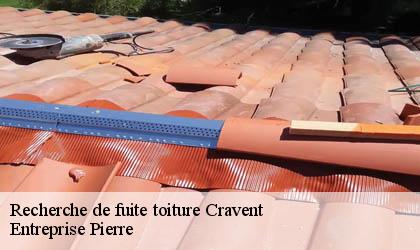 Recherche de fuite toiture
