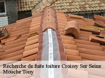 Recherche de fuite toiture