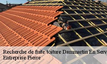 Recherche de fuite toiture dammartin-en-serve-78111 Eugene Toiture