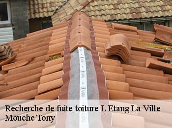 Recherche de fuite toiture