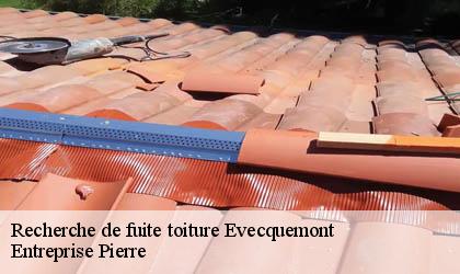 Recherche de fuite toiture