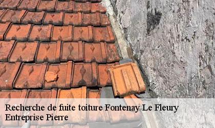 Recherche de fuite toiture 78330