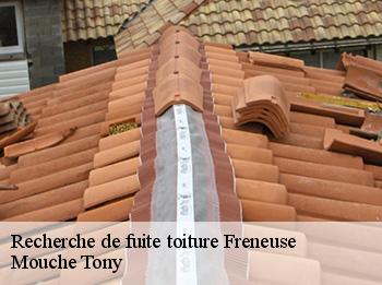 Recherche de fuite toiture