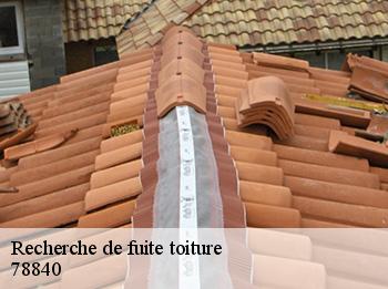 Recherche de fuite toiture  78840