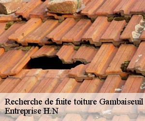 Recherche de fuite toiture  gambaiseuil-78490 Entreprise H.N