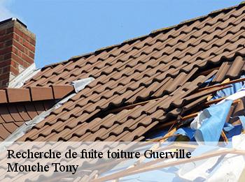Recherche de fuite toiture  guerville-78930 Mouche Tony