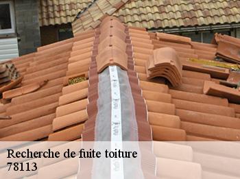 Recherche de fuite toiture  78113