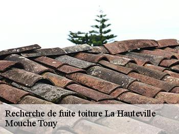 Recherche de fuite toiture 78113