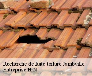 Recherche de fuite toiture  jambville-78440 Entreprise H.N