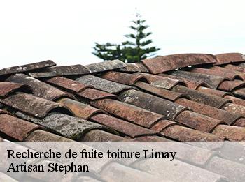 Recherche de fuite toiture  78520