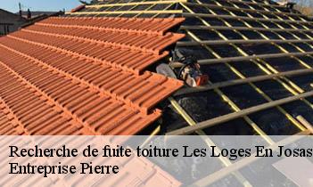 Recherche de fuite toiture les-loges-en-josas-78350 Entreprise Pierre