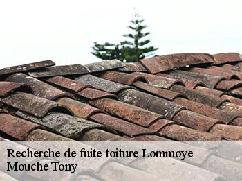 Recherche de fuite toiture  78270