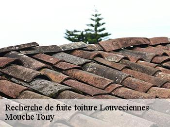 Recherche de fuite toiture  78430