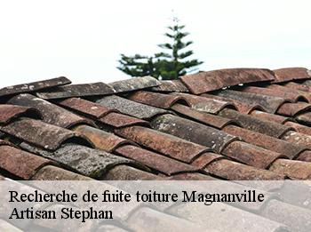 Recherche de fuite toiture  78200