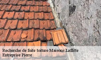Recherche de fuite toiture 78600