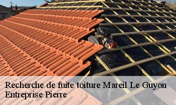 Recherche de fuite toiture  mareil-le-guyon-78490 Entreprise Pierre