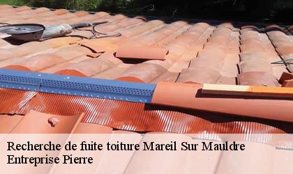 Recherche de fuite toiture