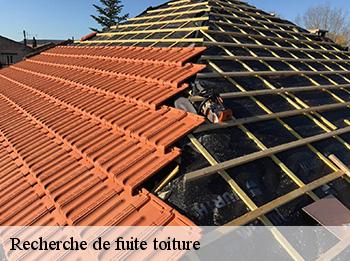 Recherche de fuite toiture