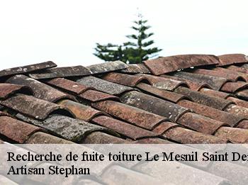 Recherche de fuite toiture  78320