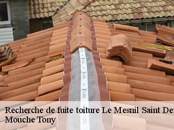 Recherche de fuite toiture