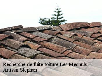 Recherche de fuite toiture  78490