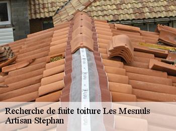 Recherche de fuite toiture