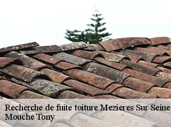 Recherche de fuite toiture  78970