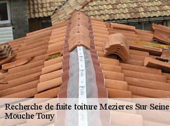 Recherche de fuite toiture