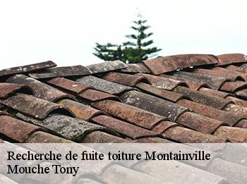 Recherche de fuite toiture  78124