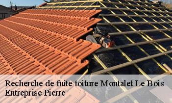 Recherche de fuite toiture montalet-le-bois-78440 Entreprise Pierre