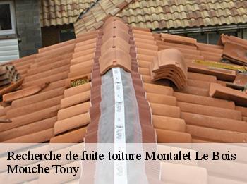 Recherche de fuite toiture