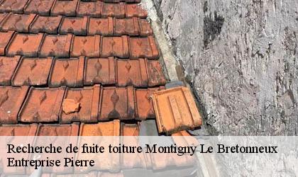 Recherche de fuite toiture  78180