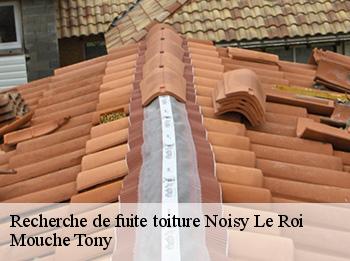 Recherche de fuite toiture