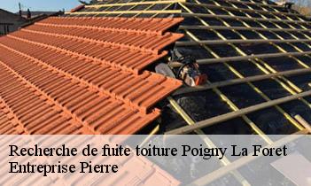 Recherche de fuite toiture poigny-la-foret-78125 Entreprise Pierre