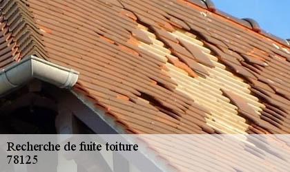 Recherche de fuite toiture 78125