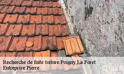 Recherche de fuite toiture 78125