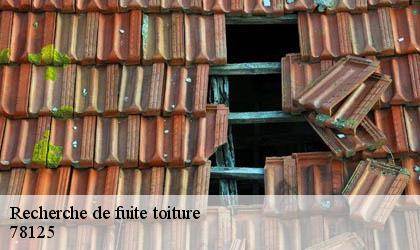 Recherche de fuite toiture