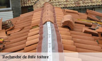 Recherche de fuite toiture 78125