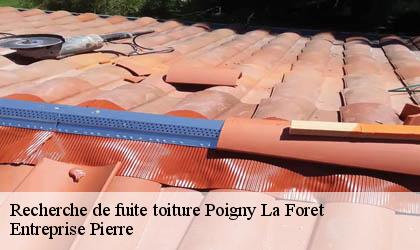 Recherche de fuite toiture