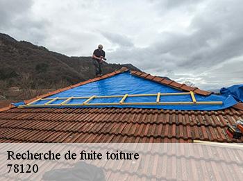 Recherche de fuite toiture 78120