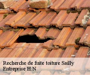 Recherche de fuite toiture  sailly-78440 Entreprise H.N