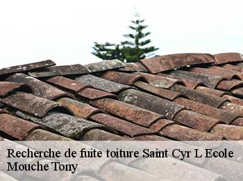 Recherche de fuite toiture  78210