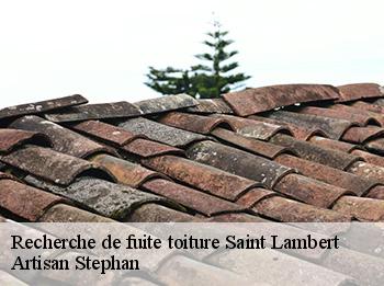 Recherche de fuite toiture  78470