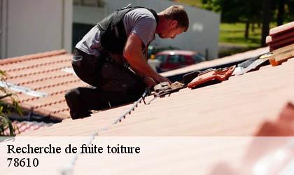 Recherche de fuite toiture 78610