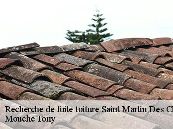 Recherche de fuite toiture  78790