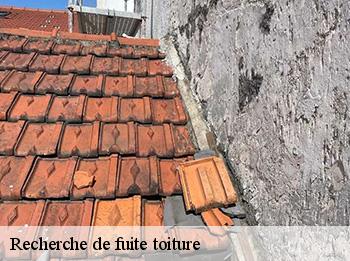 Recherche de fuite toiture
