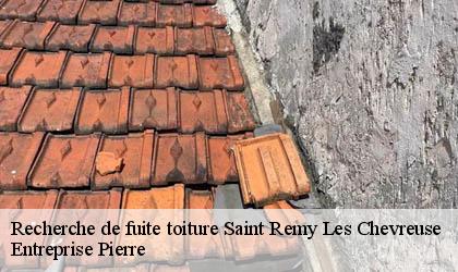 Recherche de fuite toiture 78470