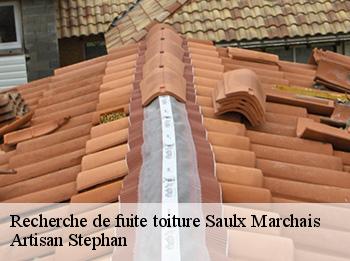 Recherche de fuite toiture