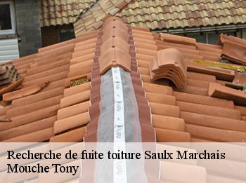 Recherche de fuite toiture